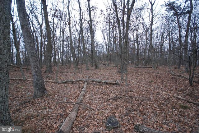LOT 21 GOLD NUGGET RD, Augusta, WV 26704