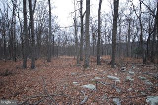 LOT 21 GOLD NUGGET RD, Augusta, WV 26704