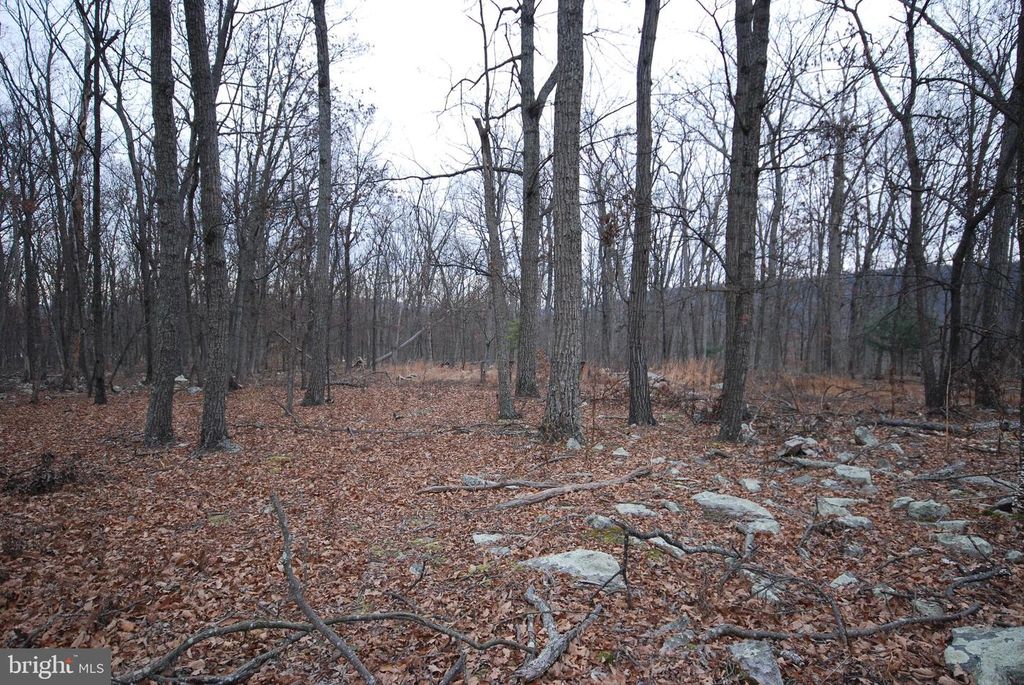 LOT 21 GOLD NUGGET RD, Augusta, WV 26704