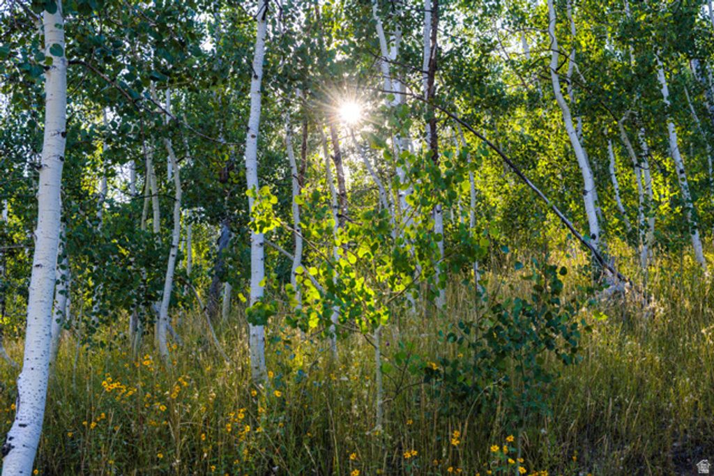 2070 Uintah View Dr Unit 50, Wanship, UT 84017 — exterior