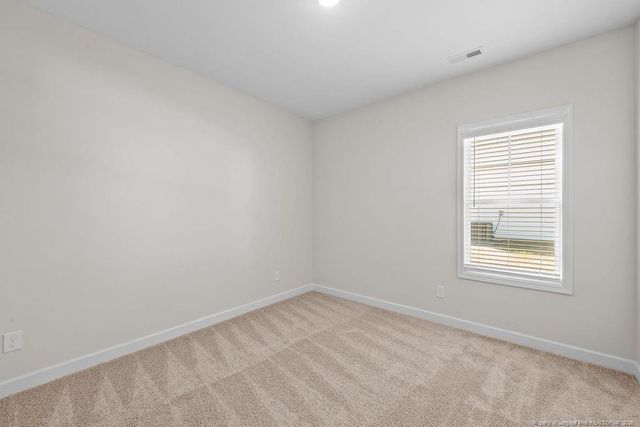 84 Ambrosia (Lot 18) Way, Bunnlevel, NC 28323