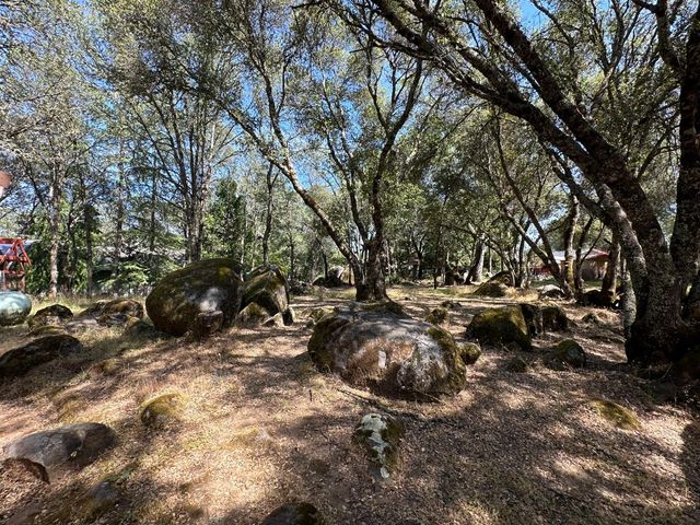 11457 Sandpiper Way, Penn Valley, CA 95946