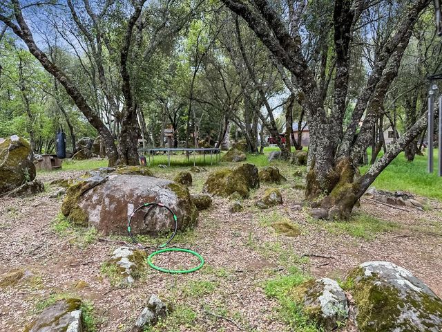 11457 Sandpiper Way, Penn Valley, CA 95946