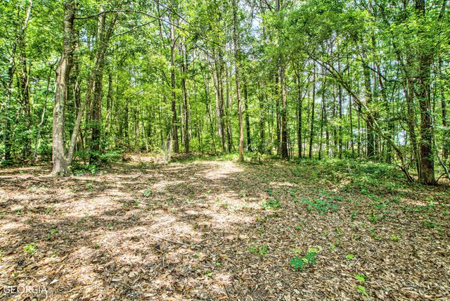 14 Michaels Crossing, Sharpsburg, GA 30277