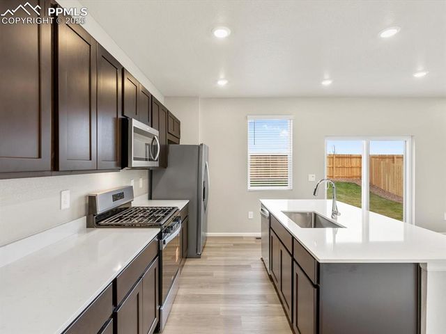 11397 Pikeminnow Place, Colorado Springs, CO 80925