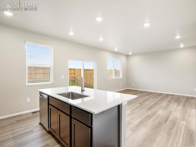 11397 Pikeminnow Place, Colorado Springs, CO 80925