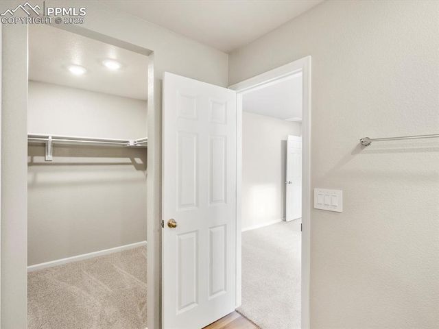 11397 Pikeminnow Place, Colorado Springs, CO 80925