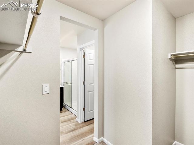 11397 Pikeminnow Place, Colorado Springs, CO 80925