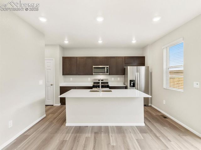 11397 Pikeminnow Place, Colorado Springs, CO 80925