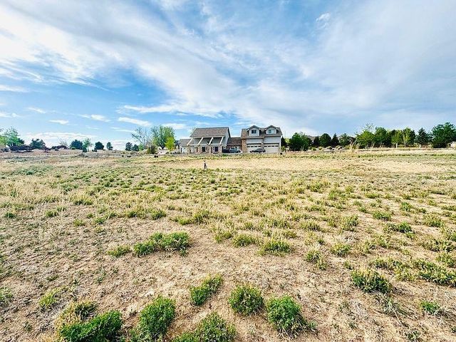 1386 Horseshoe Drive, Fruita, CO 81521