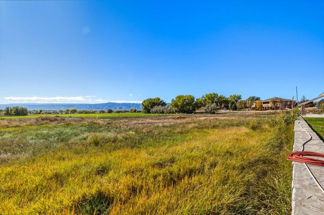 1386 Horseshoe Drive, Fruita, CO 81521