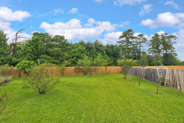 25031 Karacabey Court, Spring, TX 77389