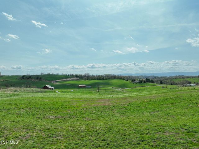 3250 Old Ducktown Road, Limestone, TN 37681
