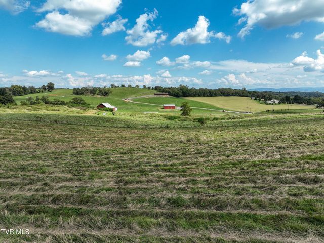 3250 Old Ducktown Road, Limestone, TN 37681