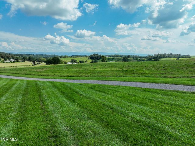 3250 Old Ducktown Road, Limestone, TN 37681