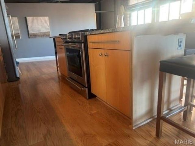 1619 Washington Avenue 802, St Louis, MO 63103