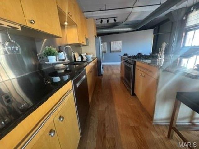 1619 Washington Avenue 802, St Louis, MO 63103