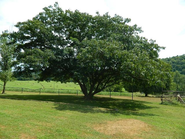 428 County Road 522, Berryville, AR 72616