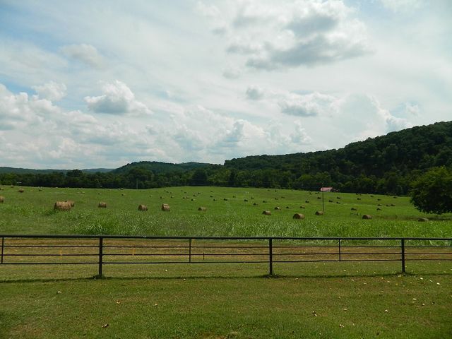 428 County Road 522, Berryville, AR 72616