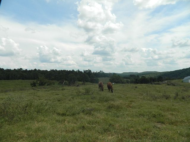 428 County Road 522, Berryville, AR 72616