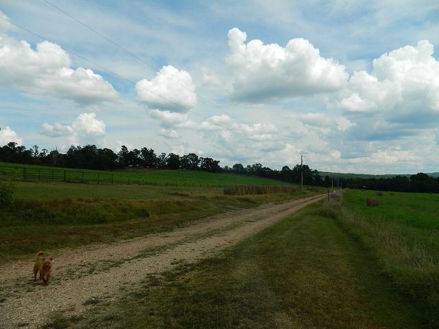 428 County Road 522, Berryville, AR 72616