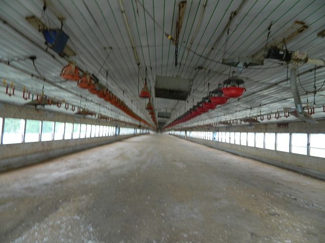 428 County Road 522, Berryville, AR 72616