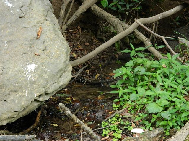 428 County Road 522, Berryville, AR 72616