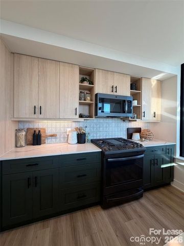 124 E Kingston Avenue C1-B, Charlotte, NC 28203