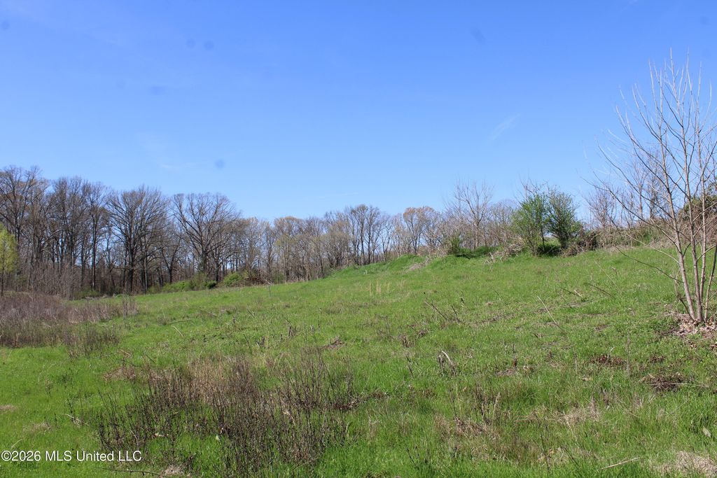 11 Barton Desoto Road, Olive Branch, MS 38654 — exterior