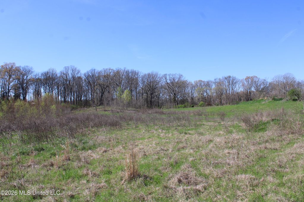 11 Barton Desoto Road, Olive Branch, MS 38654 — photo 3