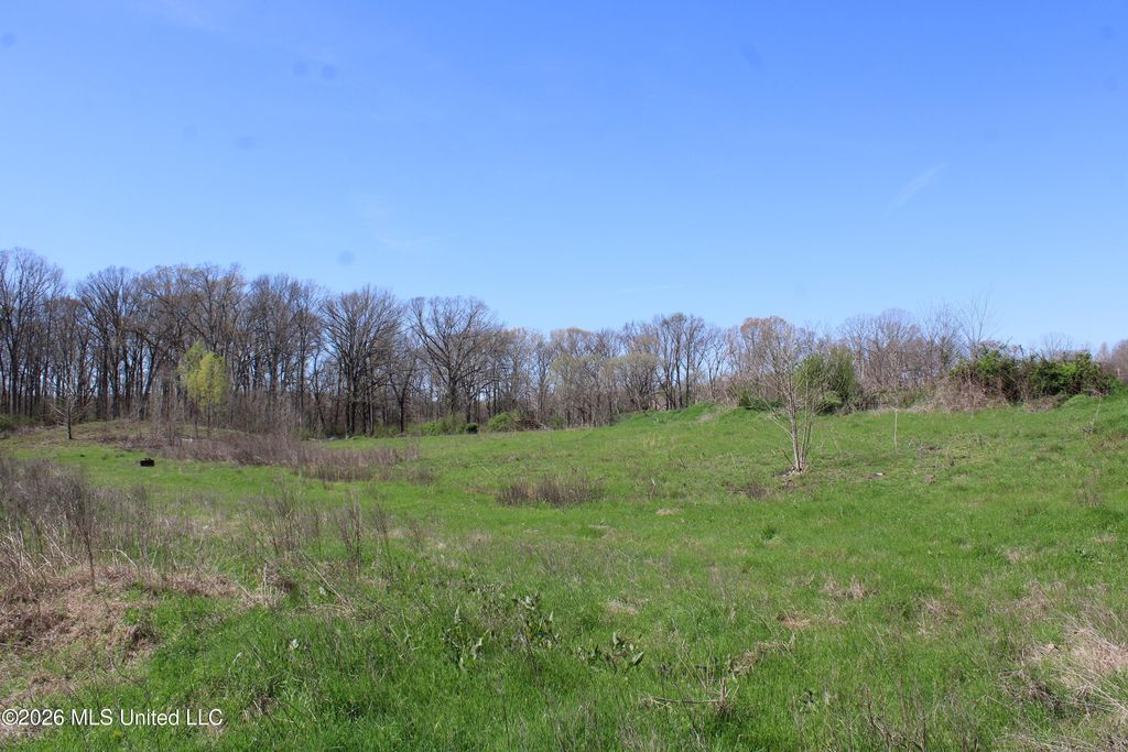 11 Barton Desoto Road, Olive Branch, MS 38654 — photo 4