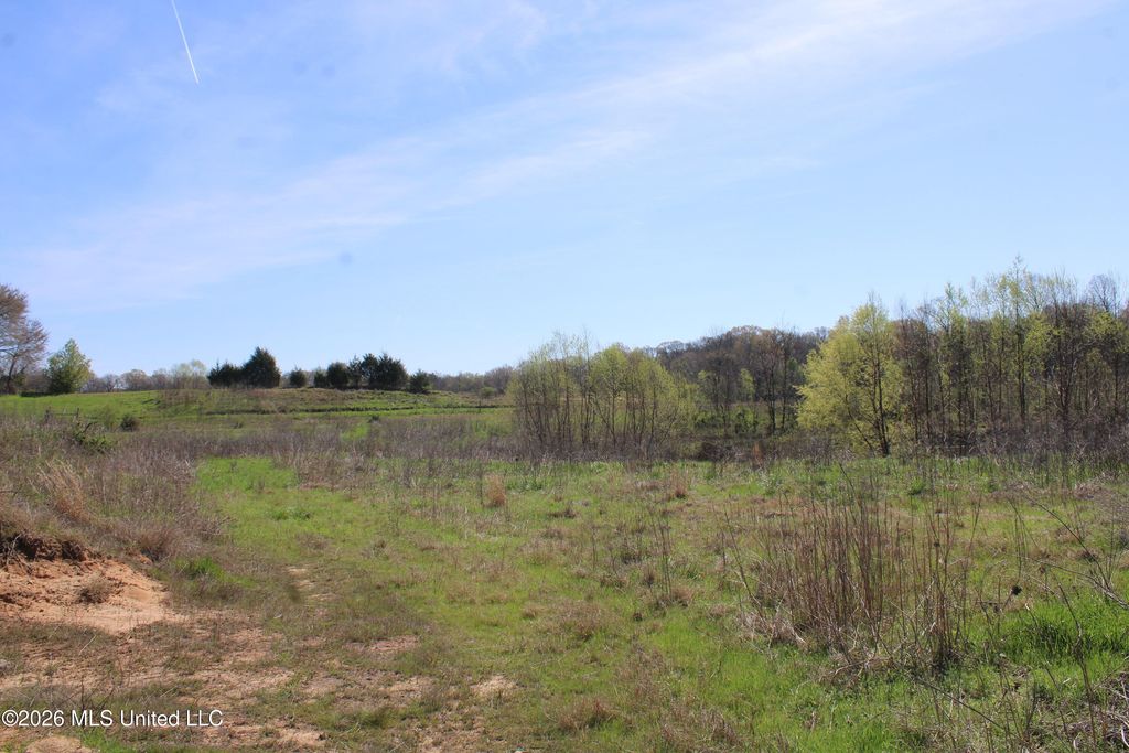 11 Barton Desoto Road, Olive Branch, MS 38654 — photo 5