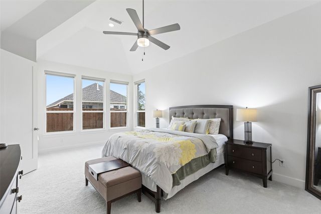 4309 Double Diamond Drive, Prosper, TX 75078