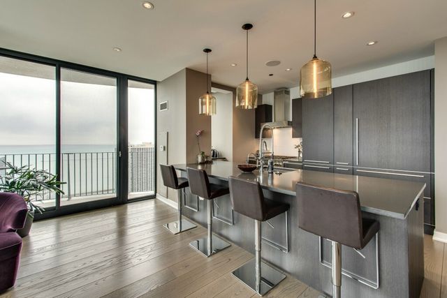 225 N Columbus Drive 5510, Chicago, IL 60601