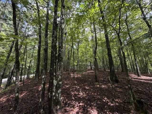 0-LT870 Oneida Circle, Ellijay, GA 30540