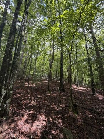 0-LT870 Oneida Circle, Ellijay, GA 30540