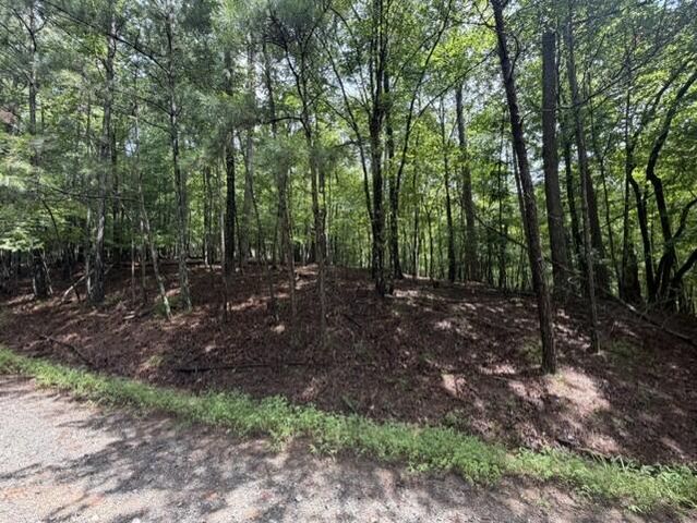 0-LT870 Oneida Circle, Ellijay, GA 30540