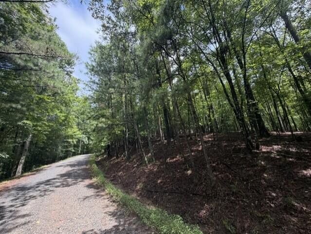 0-LT870 Oneida Circle, Ellijay, GA 30540