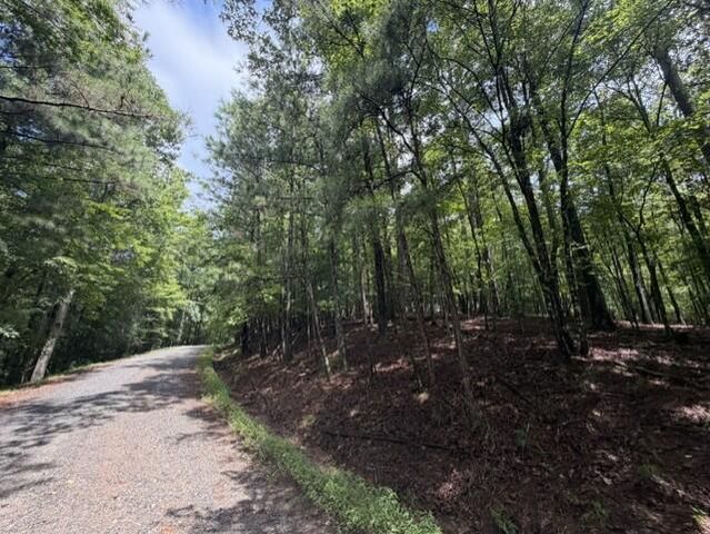 0-LT870 Oneida Circle, Ellijay, GA 30540