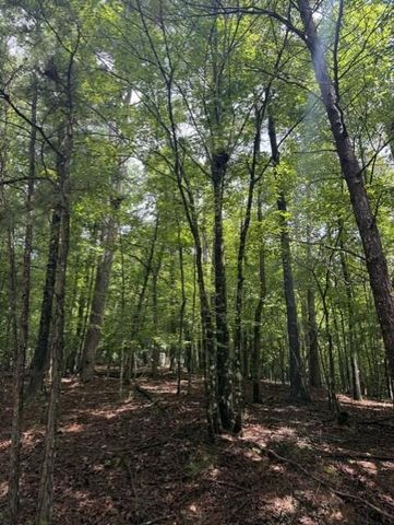 0-LT870 Oneida Circle, Ellijay, GA 30540