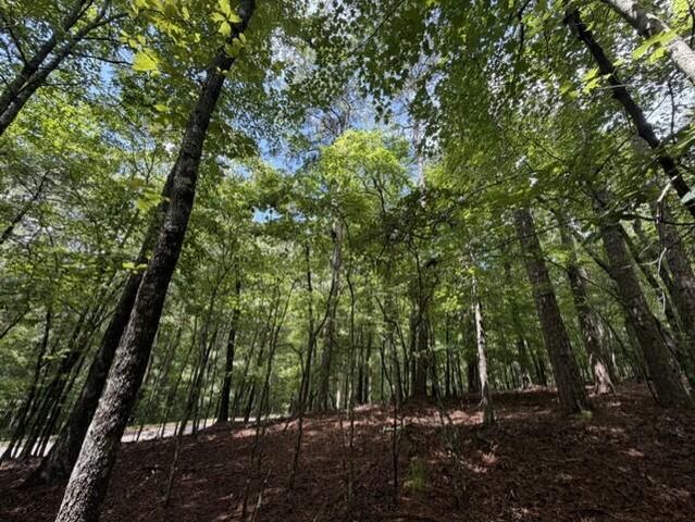 0-LT870 Oneida Circle, Ellijay, GA 30540