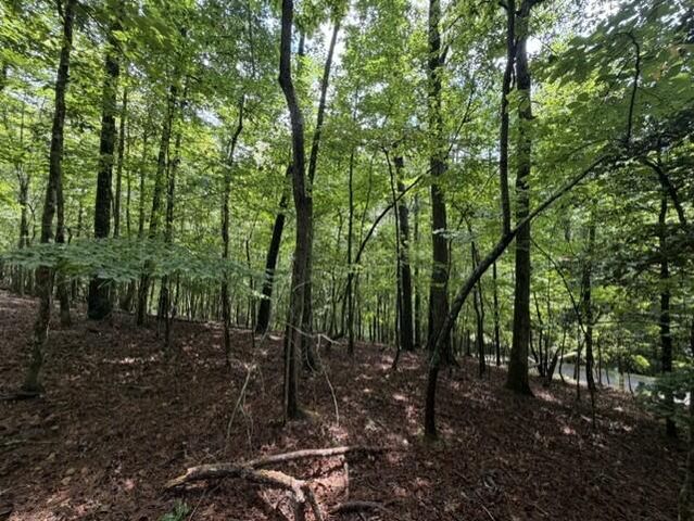 0-LT870 Oneida Circle, Ellijay, GA 30540