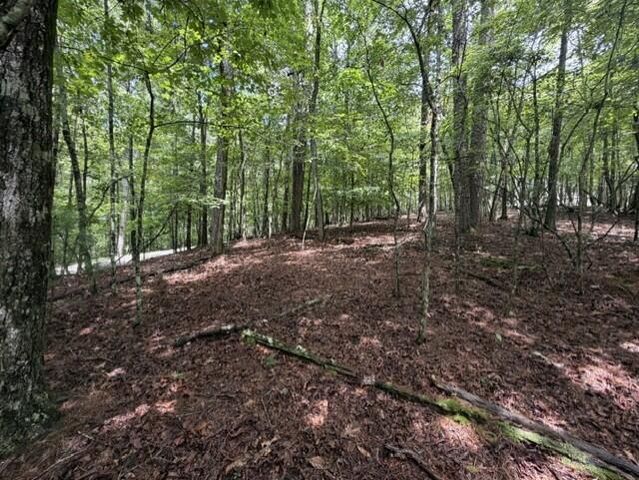 0-LT870 Oneida Circle, Ellijay, GA 30540