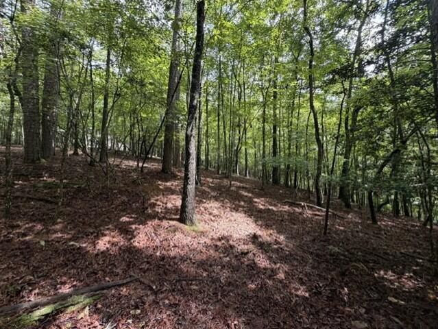0-LT870 Oneida Circle, Ellijay, GA 30540