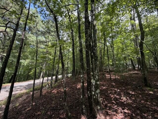 0-LT870 Oneida Circle, Ellijay, GA 30540