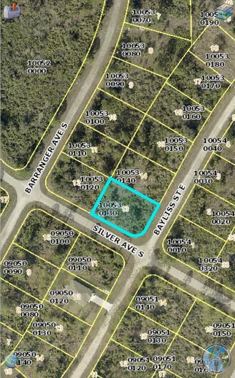 1133 BAYLISS STREET E, Lehigh Acres, FL 33974
