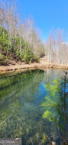 457 Youngblood Drive, Blairsville, GA 30512