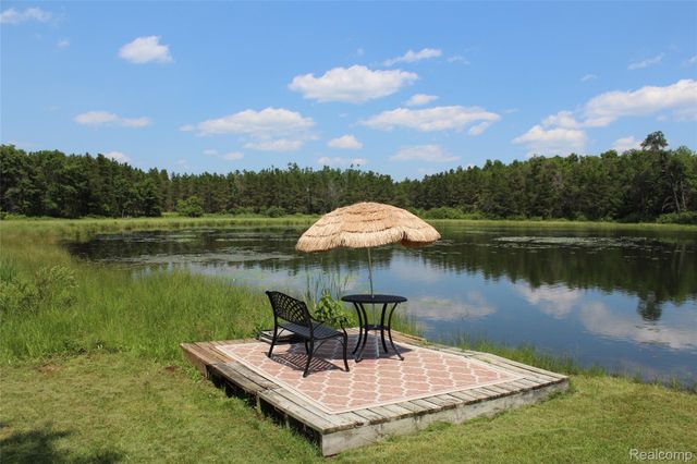 3403 Eggleston Road, Mentor Township, MI 48647