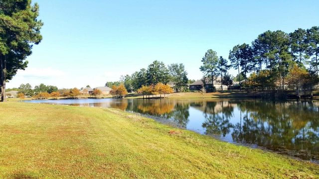 388 Lilly Bell Lane, Freeport, FL 32439