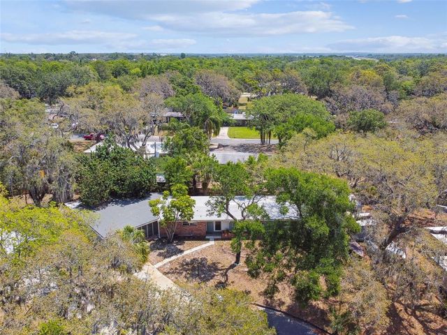 422 DUNEDIN CIRCLE, Temple Terrace, FL 33617